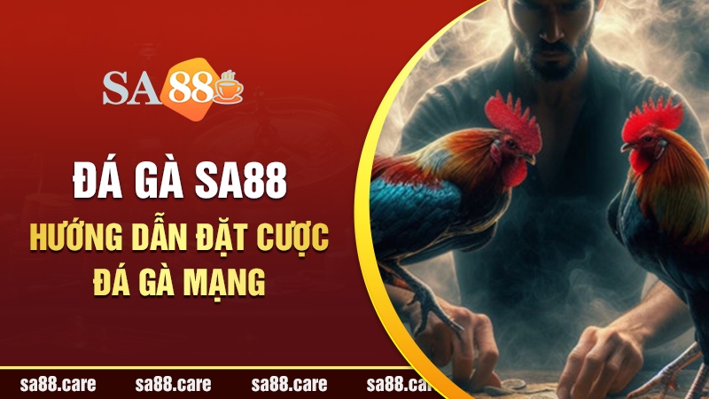 Đá Gà Mạng Là Gì? Hướng Dẫn Chi Tiết Cách Đặt Cược Hiệu Quả